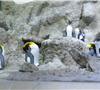 Expozice s tučňáky